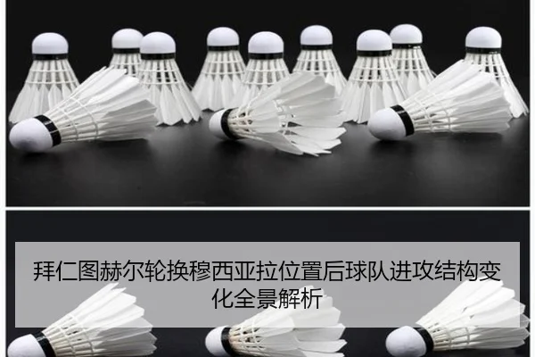 img_1779488345771_3783_0_631.jpg（kaiyun）